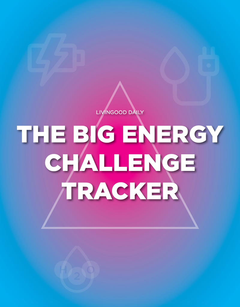 Big Energy Challenge