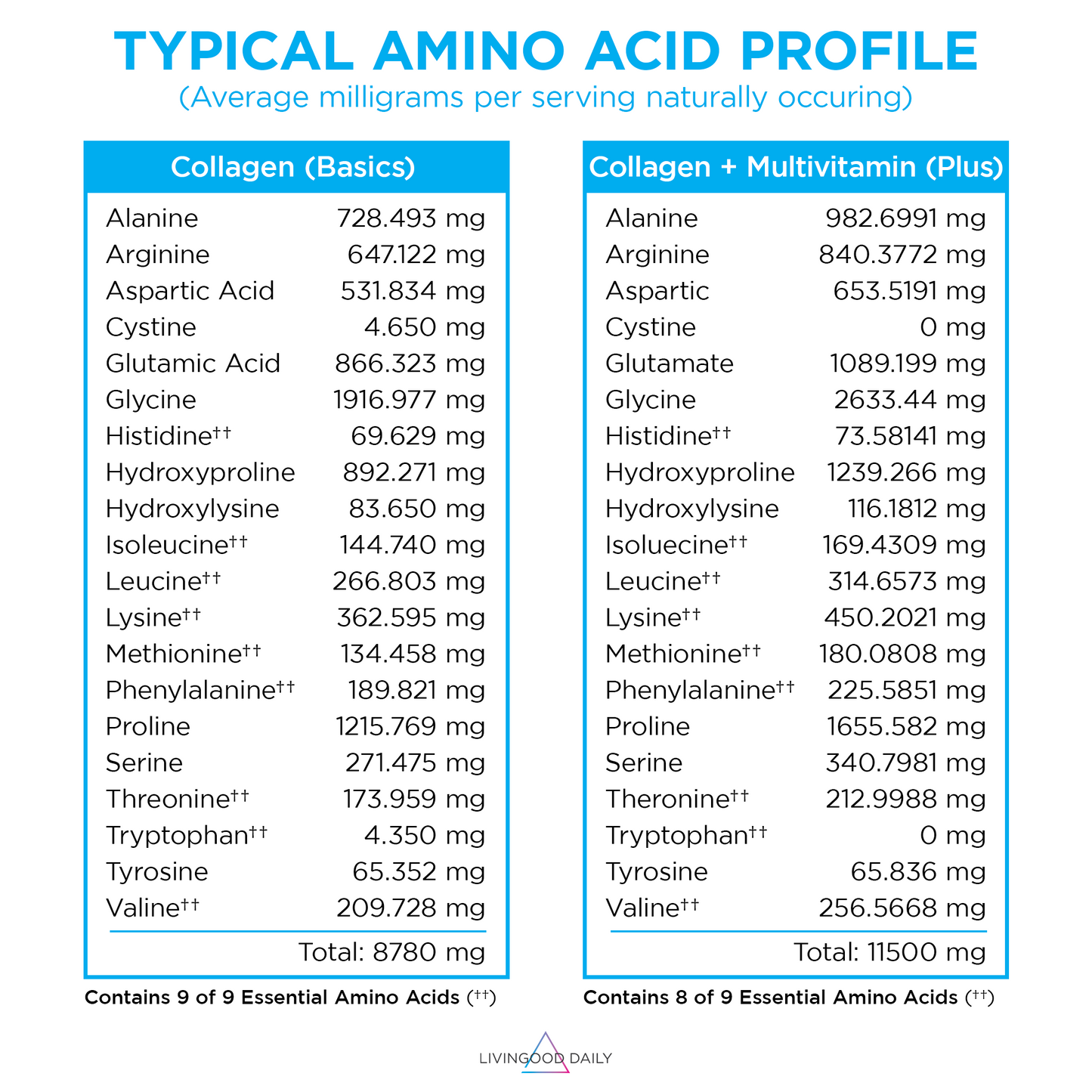 Chocolate Collagen + Multivitamin