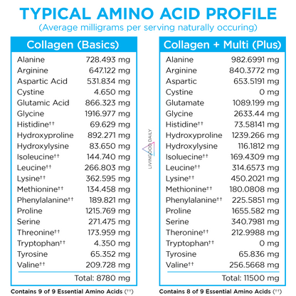 amino acid profile comparison collagen supplements basics and multi plus