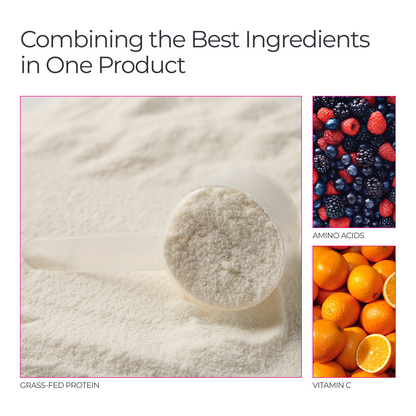 Livingood Daily Collagen (Chocolate)