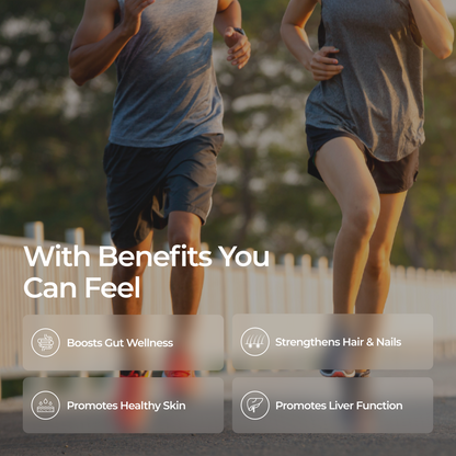 Vanilla Collagen + Multivitamin