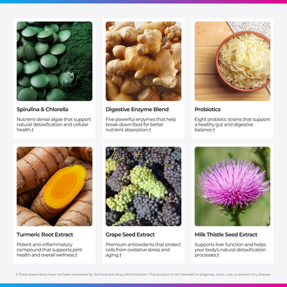 Livingood Daily Greens + Superfoods (Original)