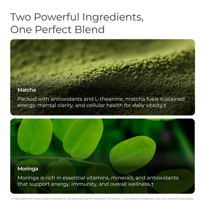 Livingood Daily Matcha + Moringa (2-Pack)
