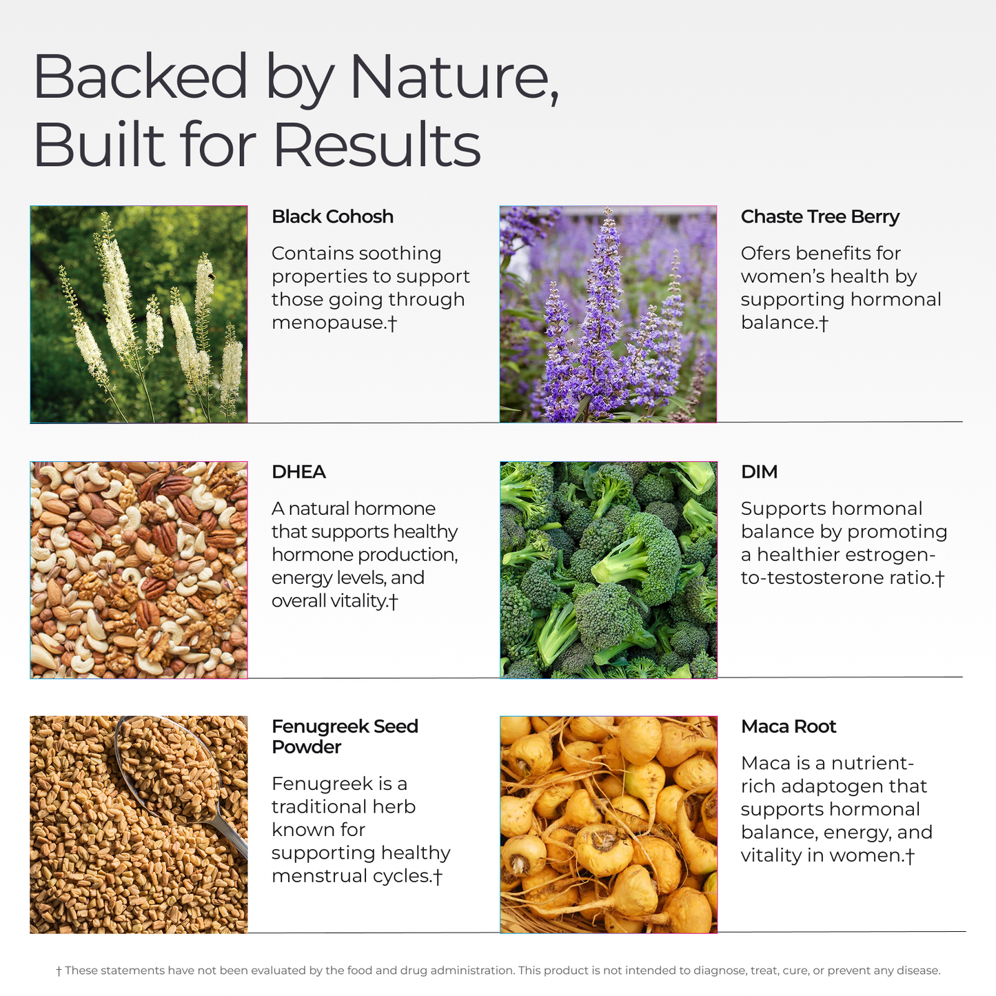Livingood Daily Women's Hormone Support